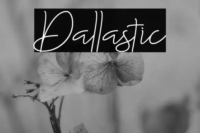 Dallastic Font examples