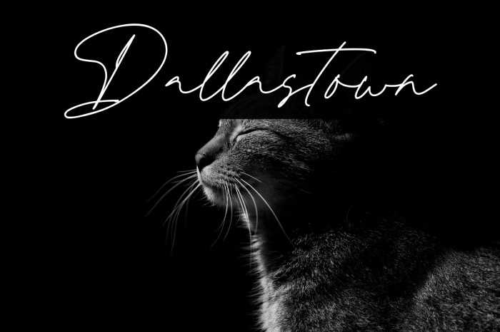 Dallastown Example 2