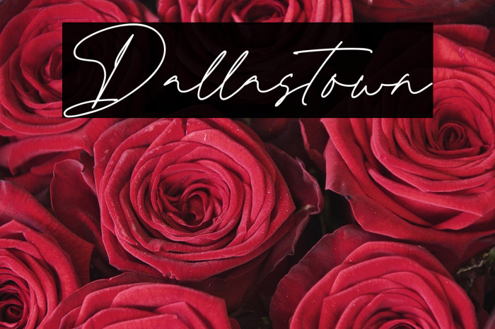 Dallastown Example 3