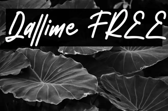 Dallime FREE Font examples
