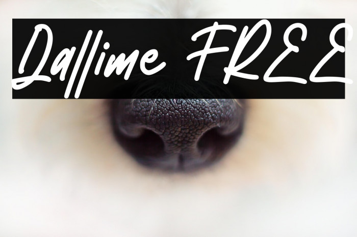 Dallime FREE Example 2