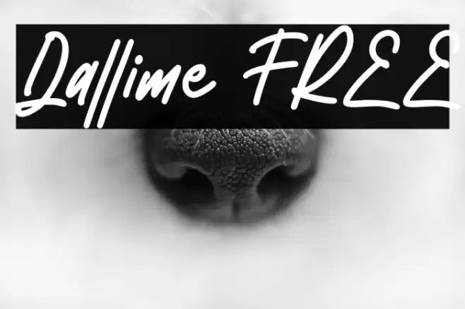 Dallime FREE Font examples