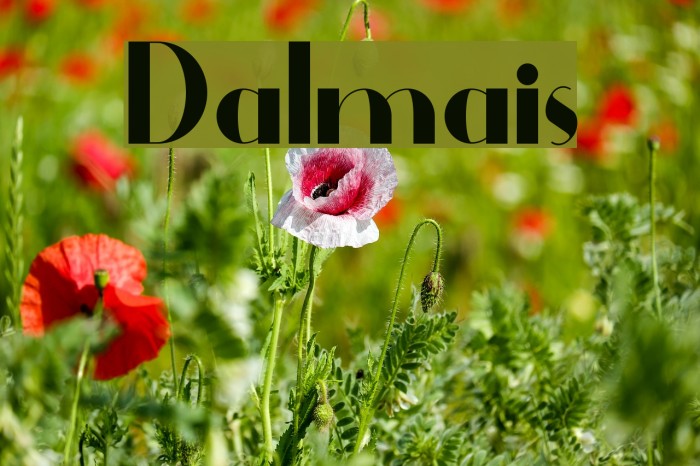 Dalmais Font examples