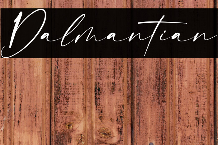 Dalmantian Example 2