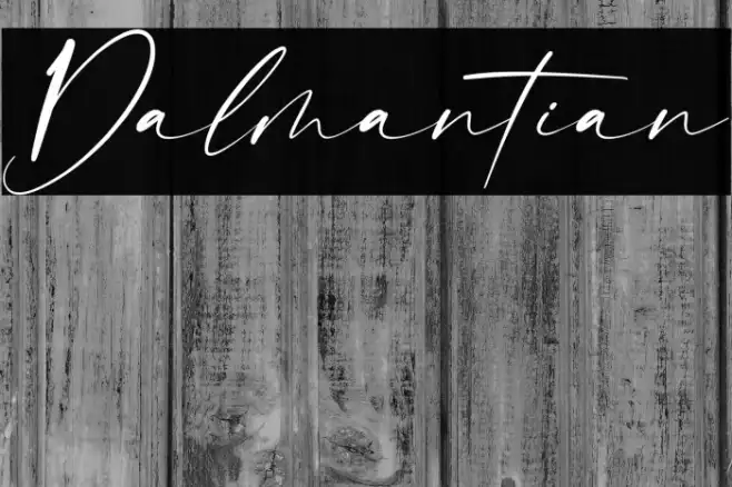 Dalmantian Example 2