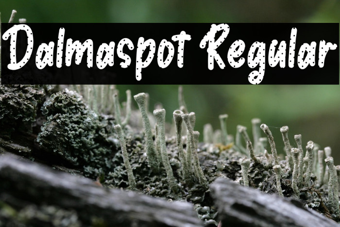 Dalmaspot Regular Example 2