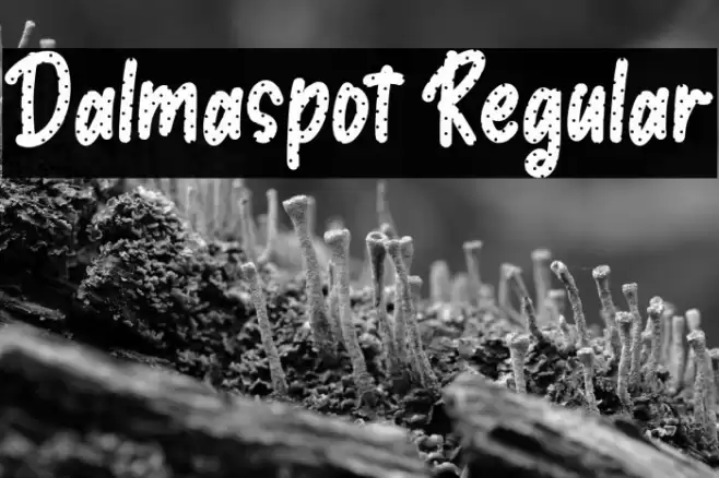 Dalmaspot Regular Font examples