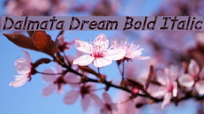 Dalmata Dream Bold Italic لخطوط تنزيل examples