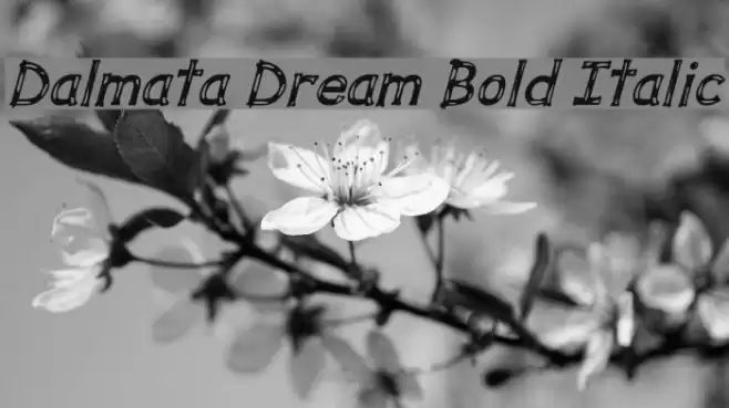 Dalmata Dream Bold Italic خط examples