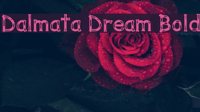 Dalmata Dream Bold Font examples