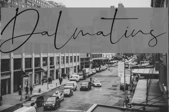 Dalmatins Font examples