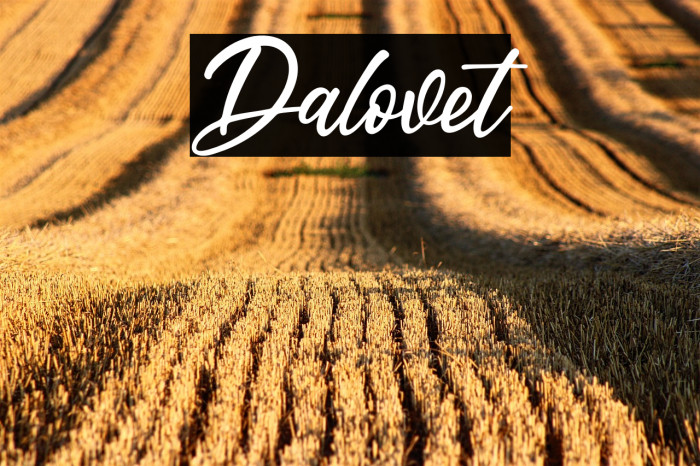 Dalovet Example 3