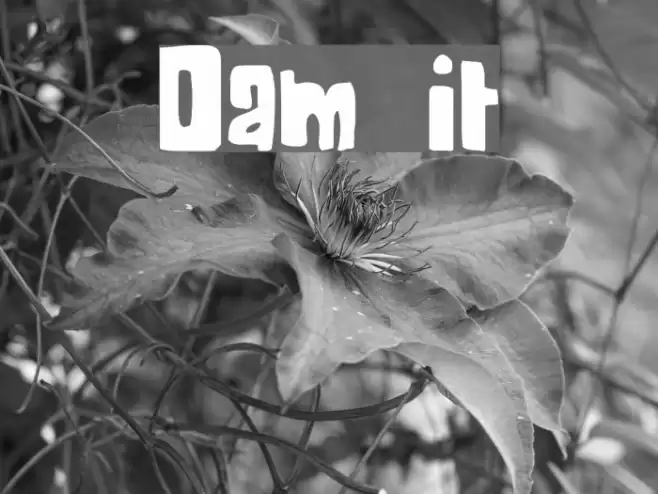 Dam it Font examples