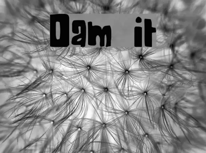 Dam it Font examples