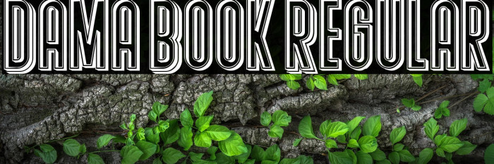 Dama Book Regular Example 1