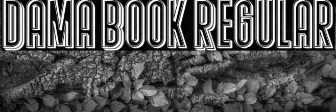 Dama Book Regular Example 1