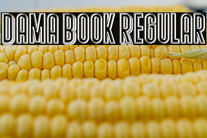 Dama Book Regular Example 3