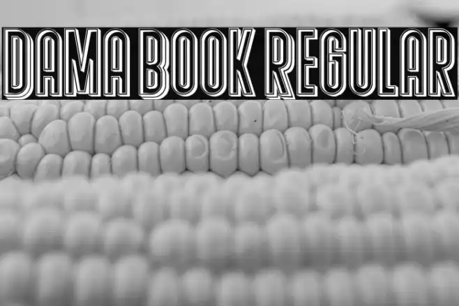 Dama Book Regular Example 3