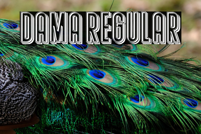 Dama Regular Example 3