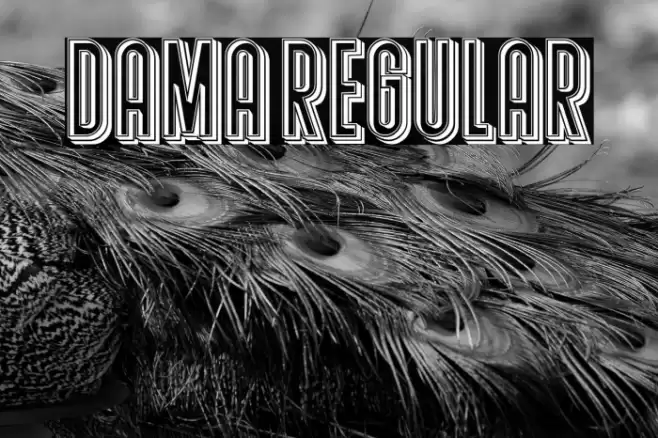 Dama Regular Font examples