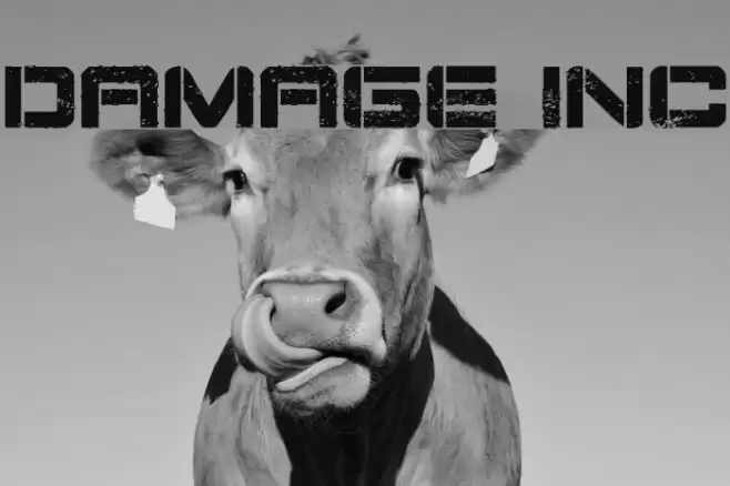 Damage Inc Font examples