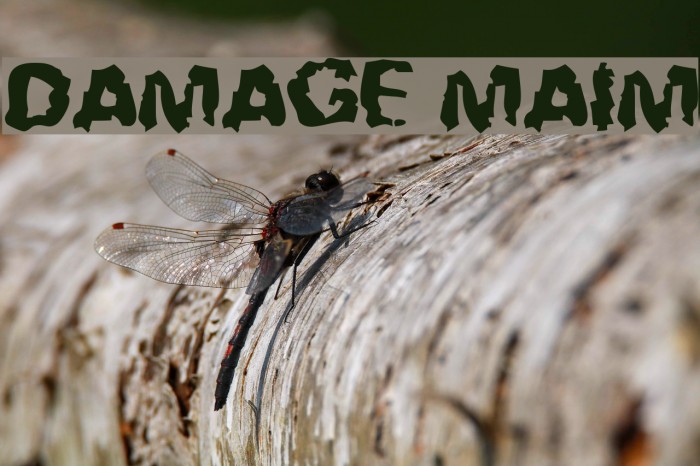 Damage!` Maim Font examples