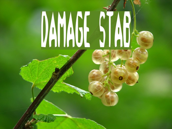 Damage!` Stab Font examples