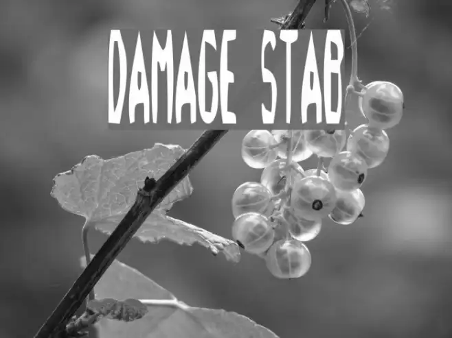 Damage!" Stab Example 2