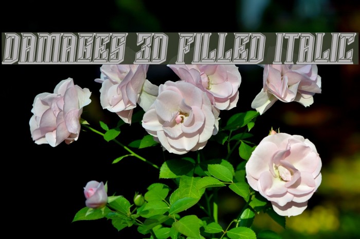 Damages 3D Filled Italic Font examples