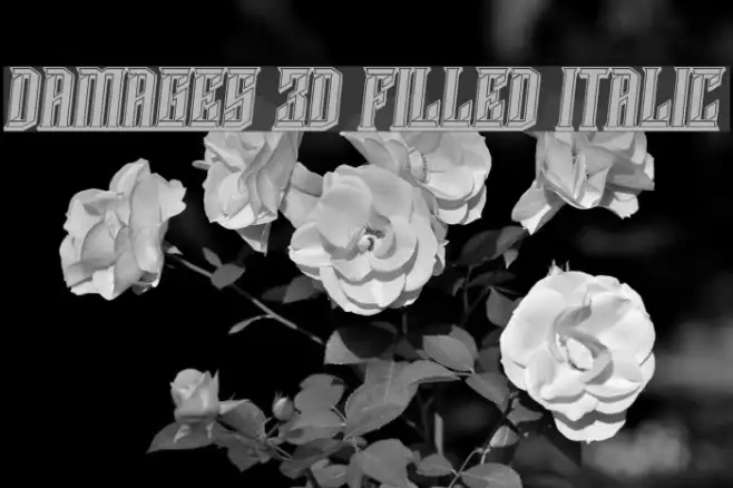 Damages 3D Filled Italic Example 1