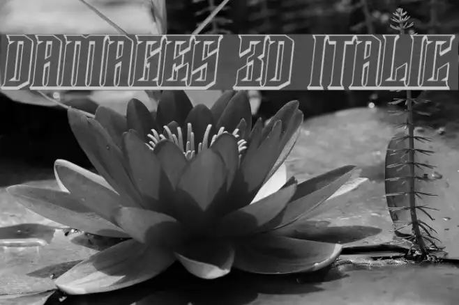 Damages 3D Italic Example 2