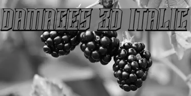 Damages 3D Italic Example 3