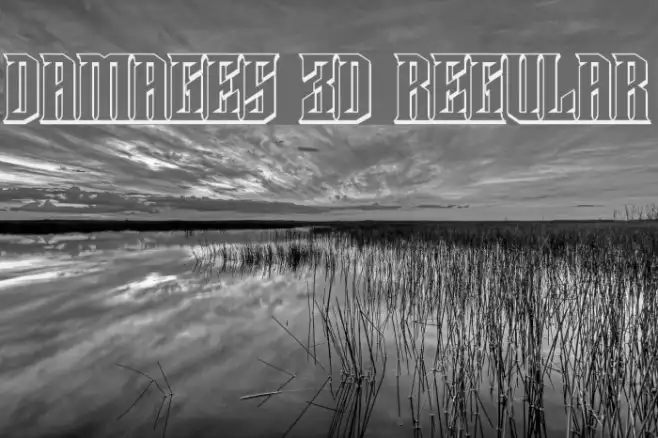 Damages 3D Regular Example 1