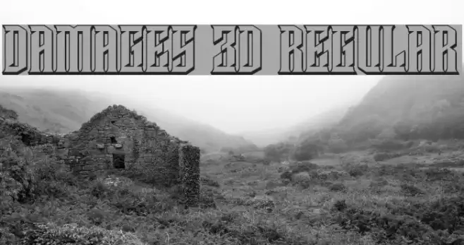 Damages 3D Regular Example 2