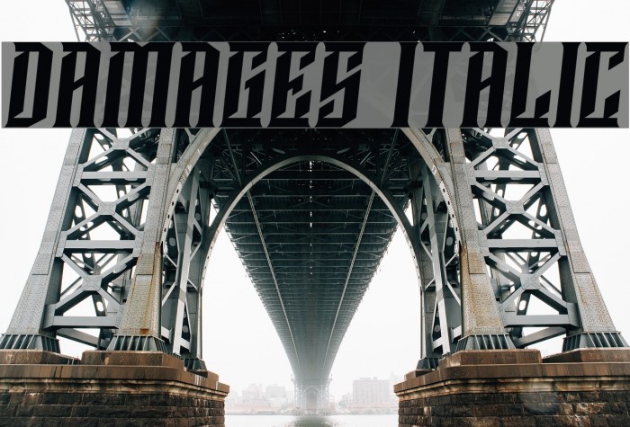 Damages Italic Font examples