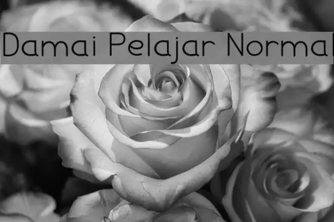 Damai Pelajar Normal Font examples