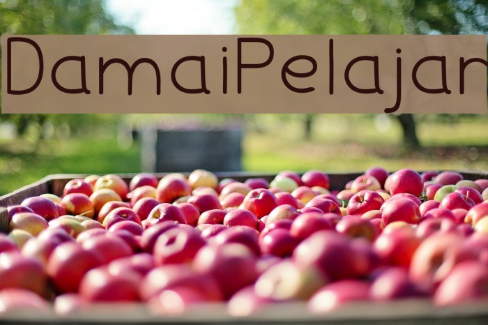 DamaiPelajar Font examples