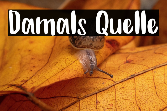 Damals Quelle Example 1