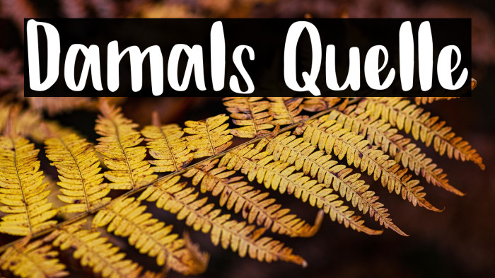 Damals Quelle Example 2