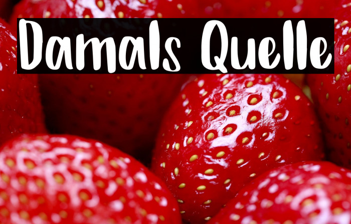 Damals Quelle Example 3