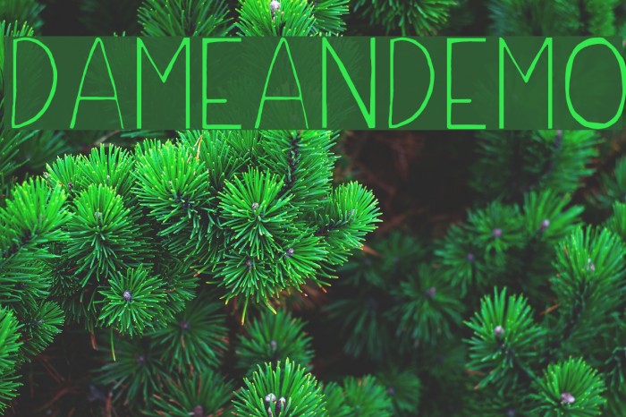 DameanDemo Font examples