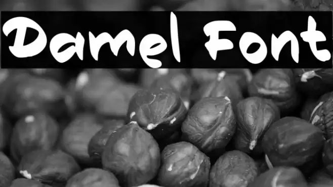 Damel Font examples