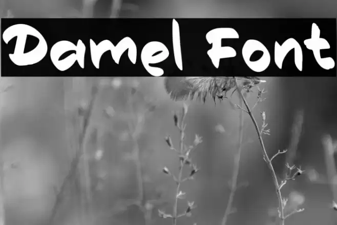 Damel Font examples
