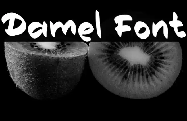 Damel Font examples