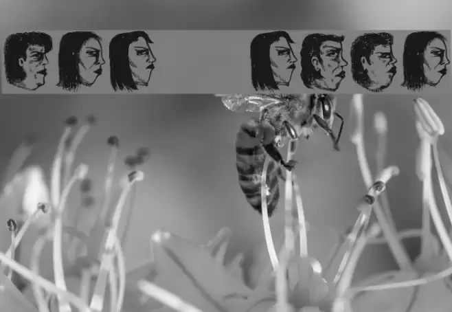 Damen 2 Regular Font examples