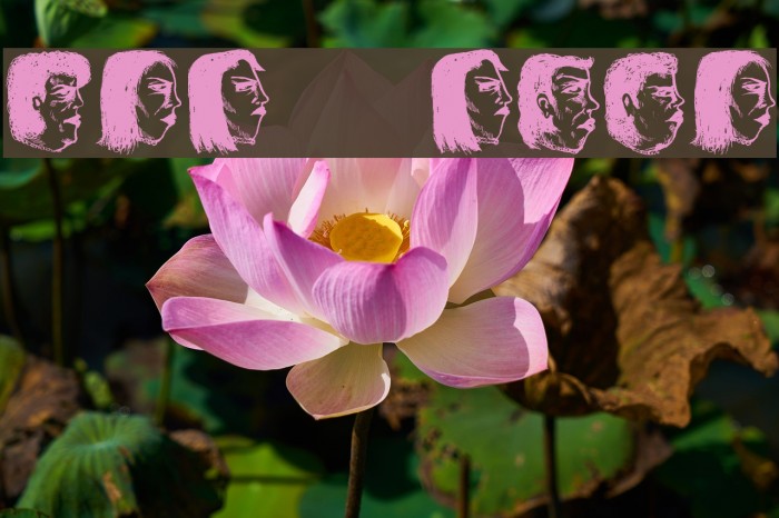 Damen 2 Regular Example 3