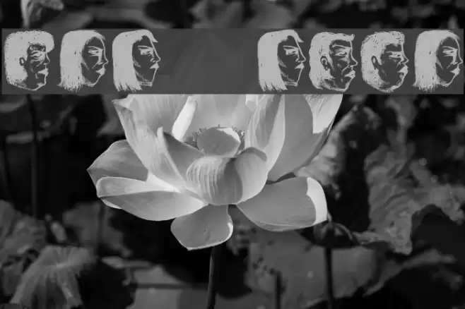 Damen 2 Regular Font examples