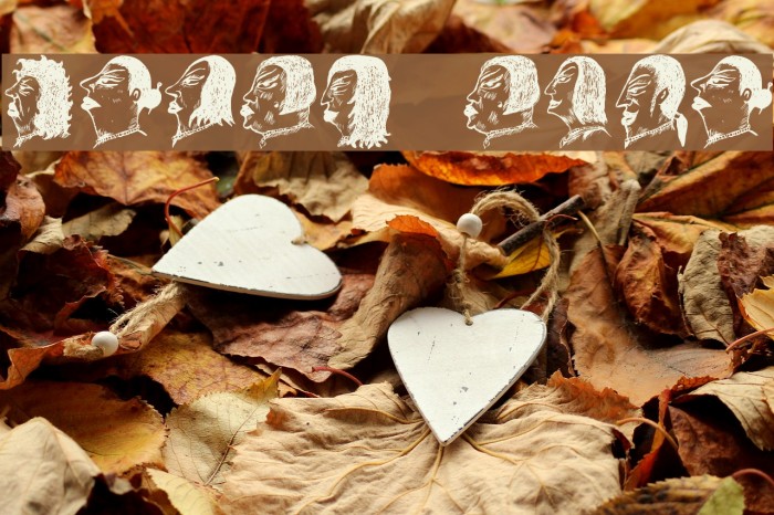 Damen Regular Example 1