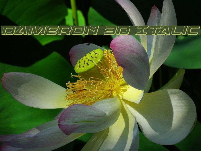 Dameron 3D Italic Font examples
