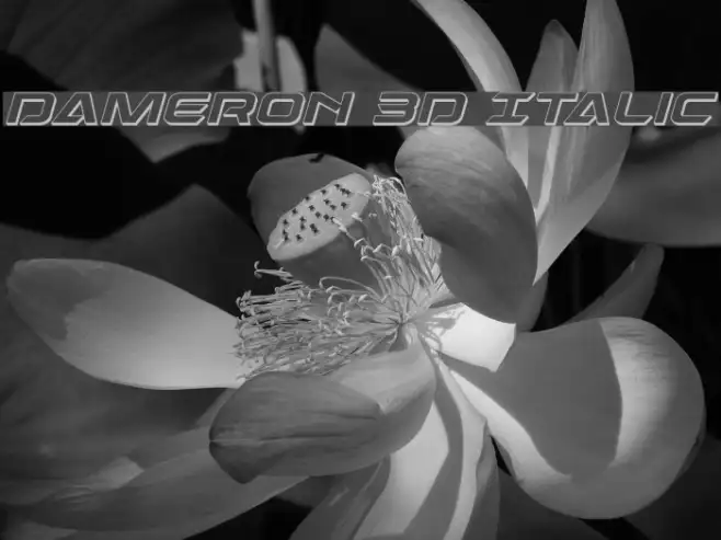 Dameron 3D Italic Example 1